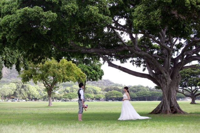 自然豊かな公園