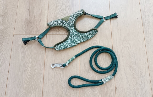 愛犬も安心の事前準備ガイド