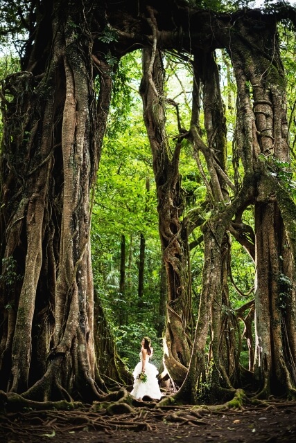 夏の暑さの影響を受けにくい